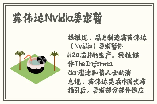 妈妈的朋友集5视频
